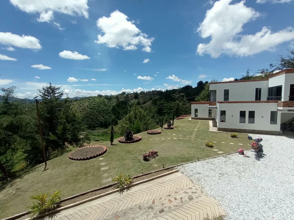 San Vicente Ferrer - Ovejas